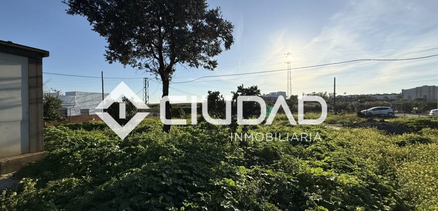 Campo en zona Toyón – Cerca de la Feria (El Cuervo)