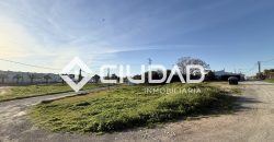 Campo en zona Toyón – Cerca de la Feria (El Cuervo)