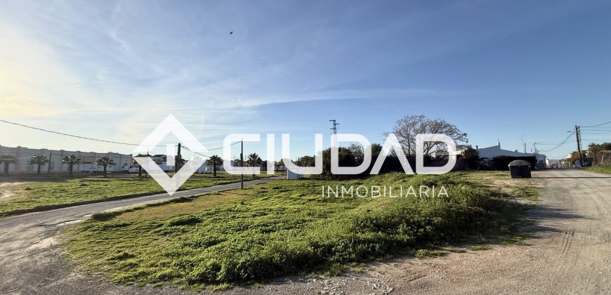 Campo en zona Toyón – Cerca de la Feria (El Cuervo)