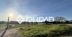 Campo en zona Toyón – Cerca de la Feria (El Cuervo)