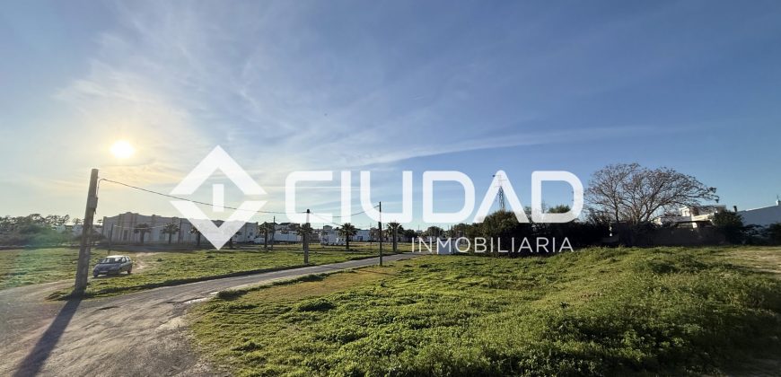 Campo en zona Toyón – Cerca de la Feria (El Cuervo)