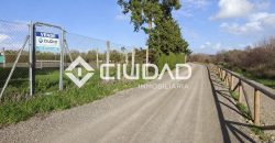 🌿 Campo en venta en la zona de Laguna Toyón, El Cuervo (Sevilla)