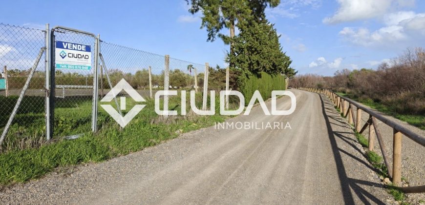 🌿 Campo en venta en la zona de Laguna Toyón, El Cuervo (Sevilla)