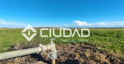 Finca rústica en zona Majada–Melendo (Lebrija)