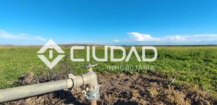 Finca rústica en zona Majada–Melendo (Lebrija)