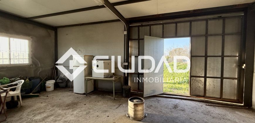 Campo en zona Toyón – Cerca de la Feria (El Cuervo)