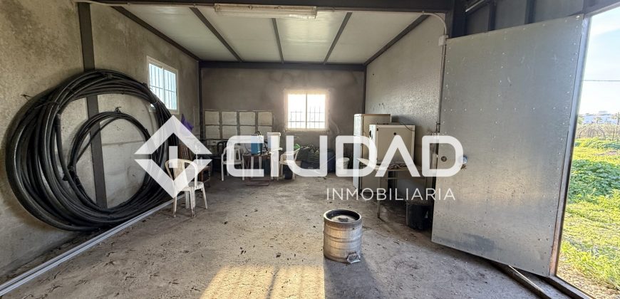 Campo en zona Toyón – Cerca de la Feria (El Cuervo)