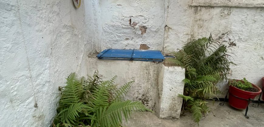 MAGNIFICA CASA EN CALOLE CRUZ