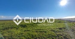 Finca rústica en zona Majada–Melendo (Lebrija)