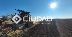 Finca rústica en zona Majada–Melendo (Lebrija)