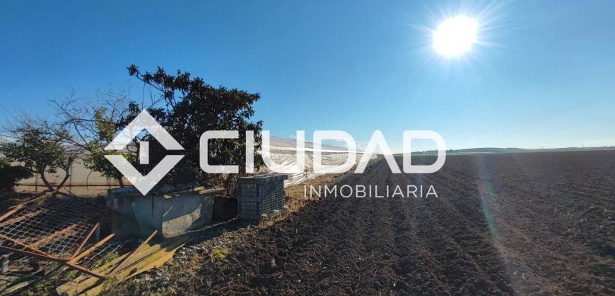 Finca rústica en zona Majada–Melendo (Lebrija)