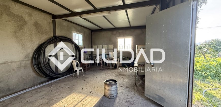 Campo en zona Toyón – Cerca de la Feria (El Cuervo)