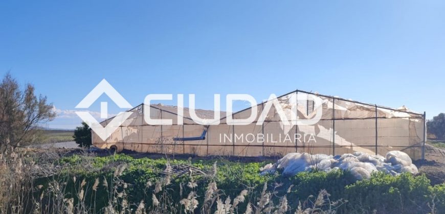 Finca rústica en zona Majada–Melendo (Lebrija)