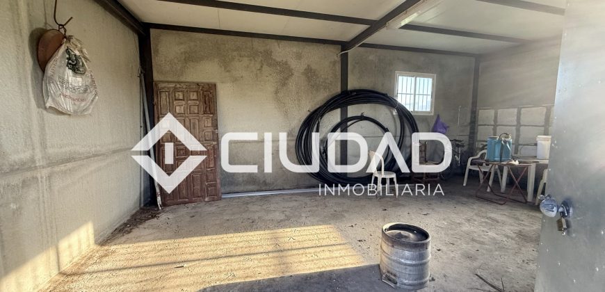 Campo en zona Toyón – Cerca de la Feria (El Cuervo)