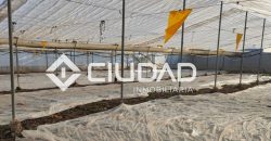 Finca rústica en zona Majada–Melendo (Lebrija)