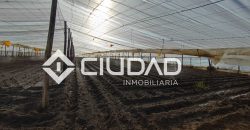 Finca rústica en zona Majada–Melendo (Lebrija)