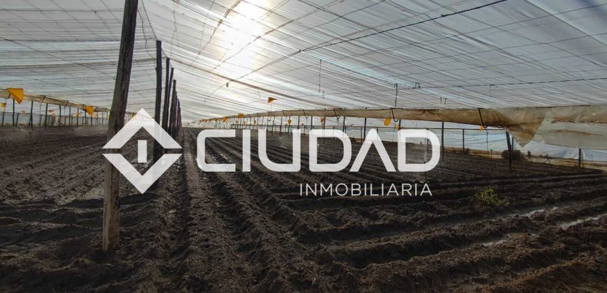 Finca rústica en zona Majada–Melendo (Lebrija)