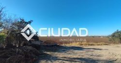 Finca rústica en zona Majada–Melendo (Lebrija)