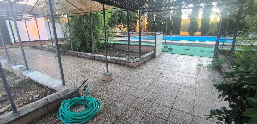 PARCELA EN EL CERVATILLO (MAIRENA DEL ALCOR)