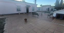 PARCELA EN EL CERVATILLO (MAIRENA DEL ALCOR)