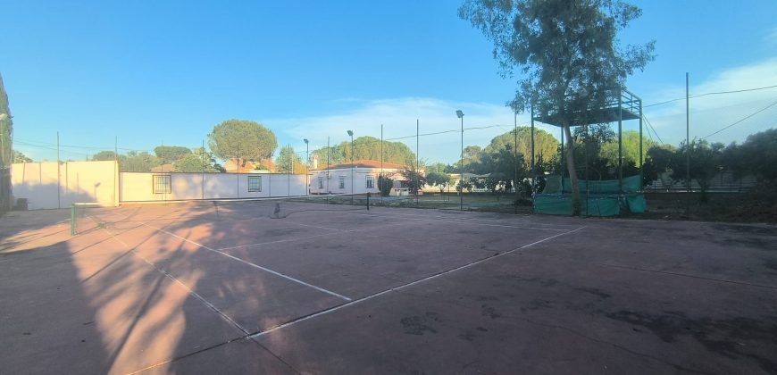 PARCELA EN EL CERVATILLO (MAIRENA DEL ALCOR)