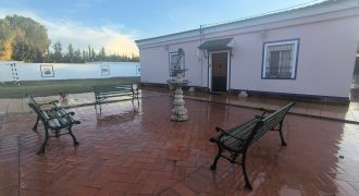 PARCELA EN EL CERVATILLO (MAIRENA DEL ALCOR)