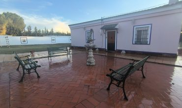 PARCELA EN EL CERVATILLO (MAIRENA DEL ALCOR)