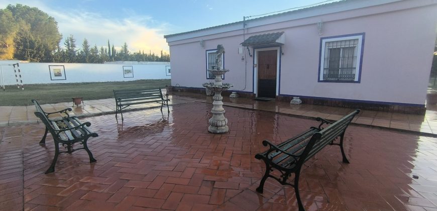 PARCELA EN EL CERVATILLO (MAIRENA DEL ALCOR)