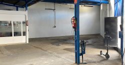 NAVE EN CARRETERA DE CARMONA.