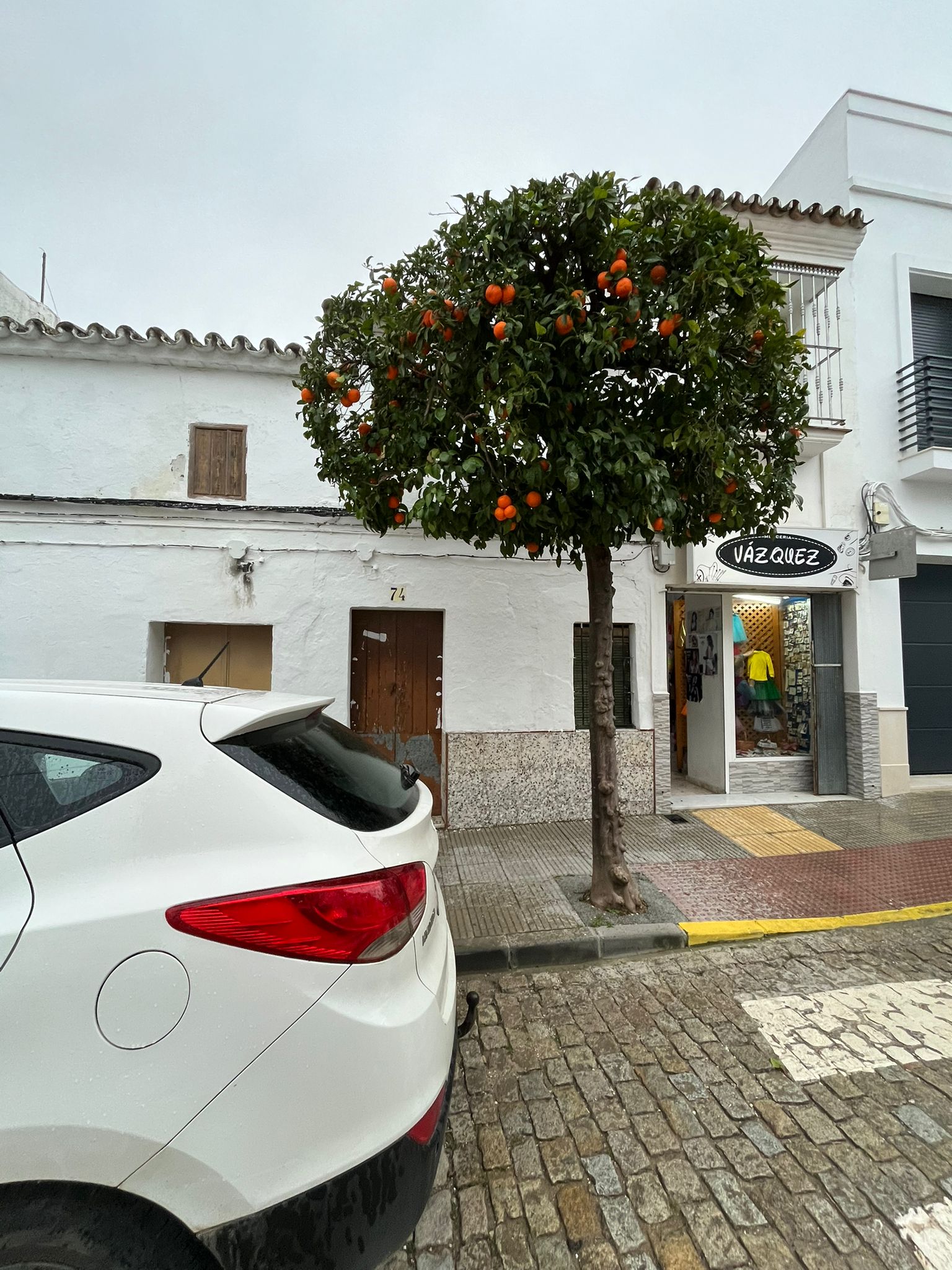 Oportunidad única para crear la casa de tus sueños