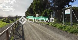 🌿 Campo en venta en la zona de Laguna Toyón, El Cuervo (Sevilla)