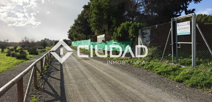 🌿 Campo en venta en la zona de Laguna Toyón, El Cuervo (Sevilla)