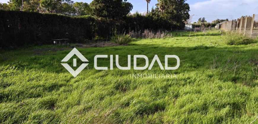 🌿 Campo en venta en la zona de Laguna Toyón, El Cuervo (Sevilla)