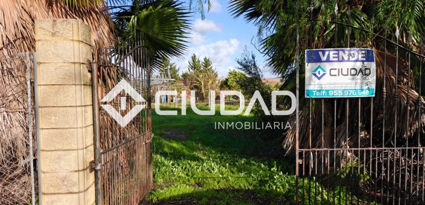 🌿 Campo en venta en la zona de Laguna Toyón, El Cuervo (Sevilla)