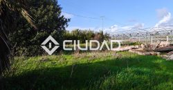 🌿 Campo en venta en la zona de Laguna Toyón, El Cuervo (Sevilla)