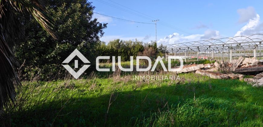 🌿 Campo en venta en la zona de Laguna Toyón, El Cuervo (Sevilla)