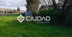 🌿 Campo en venta en la zona de Laguna Toyón, El Cuervo (Sevilla)