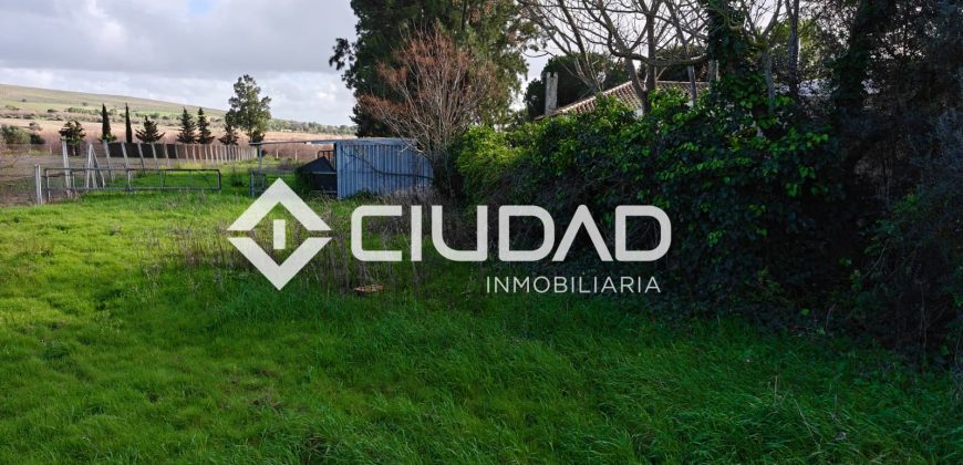 🌿 Campo en venta en la zona de Laguna Toyón, El Cuervo (Sevilla)