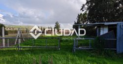 🌿 Campo en venta en la zona de Laguna Toyón, El Cuervo (Sevilla)