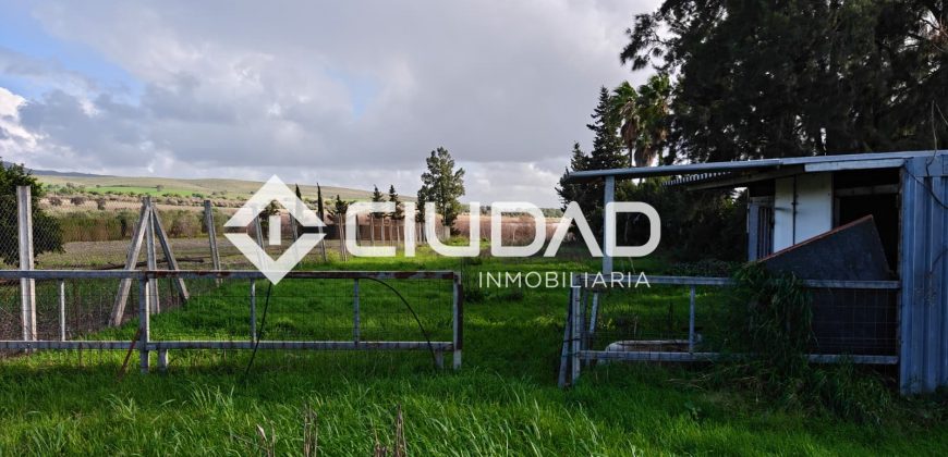 🌿 Campo en venta en la zona de Laguna Toyón, El Cuervo (Sevilla)