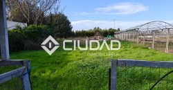 🌿 Campo en venta en la zona de Laguna Toyón, El Cuervo (Sevilla)