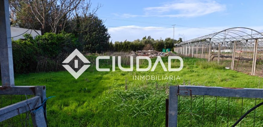 🌿 Campo en venta en la zona de Laguna Toyón, El Cuervo (Sevilla)