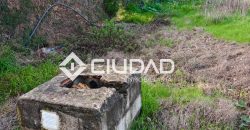 🌿 Campo en venta en la zona de Laguna Toyón, El Cuervo (Sevilla)