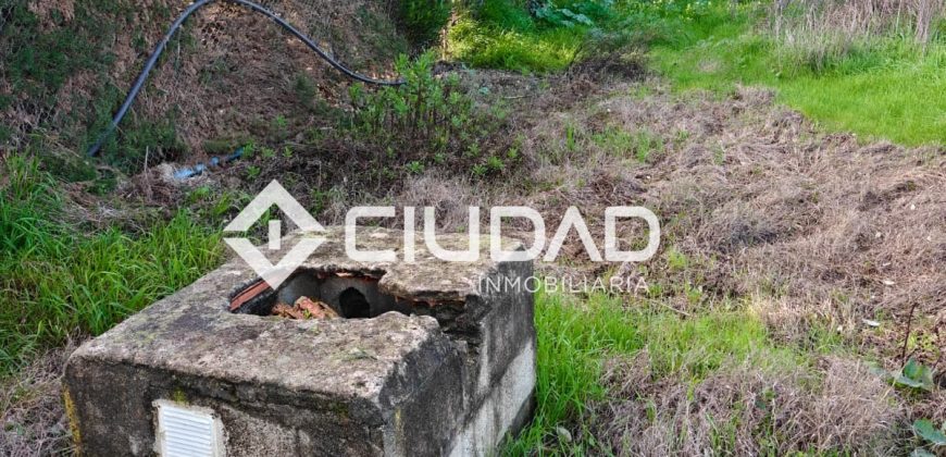 🌿 Campo en venta en la zona de Laguna Toyón, El Cuervo (Sevilla)