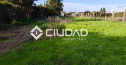 🌿 Campo en venta en la zona de Laguna Toyón, El Cuervo (Sevilla)