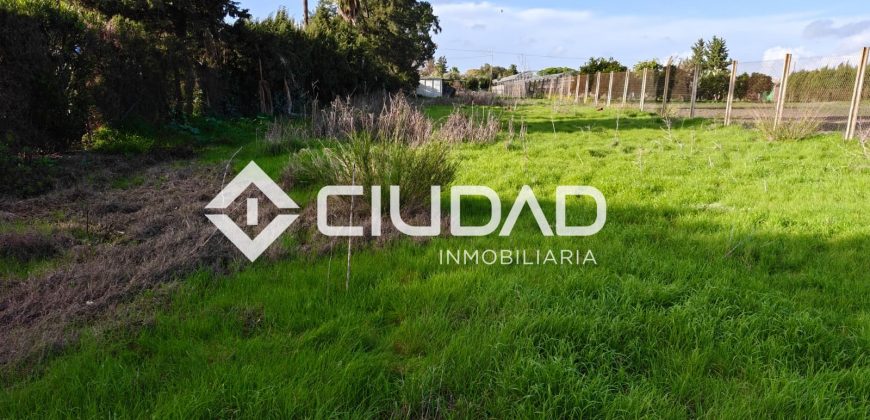 🌿 Campo en venta en la zona de Laguna Toyón, El Cuervo (Sevilla)