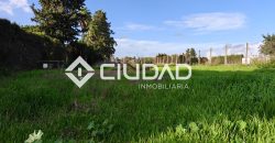 🌿 Campo en venta en la zona de Laguna Toyón, El Cuervo (Sevilla)