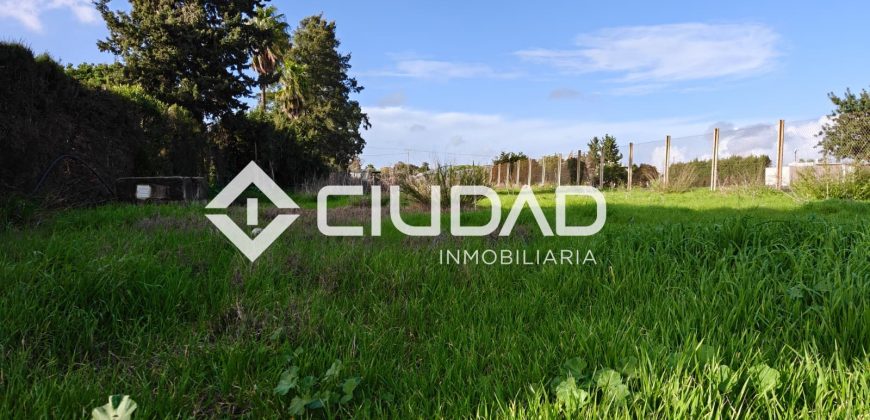 🌿 Campo en venta en la zona de Laguna Toyón, El Cuervo (Sevilla)