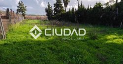 🌿 Campo en venta en la zona de Laguna Toyón, El Cuervo (Sevilla)