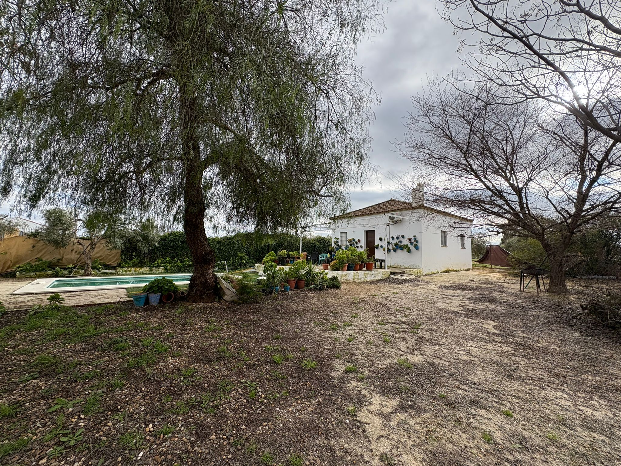 Encantador chalet REBAJADO de una sola planta con huerto y piscina